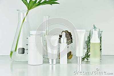 Cosmetic and skincare bottle containers with green herbal leaves, Blank label package for branding mock-up. Stock Photo