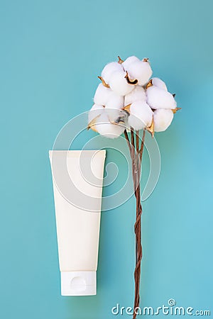 Cosmetic tube with copy space and stem with cotton flowers on blue background. Vertical format. Stock Photo