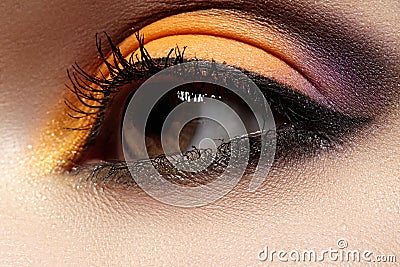 Cosmetics. Macro fashion eye make-up, bright oriental style with eyeliner Stock Photo