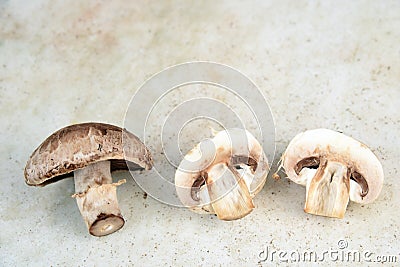 Cosmetive and medicinal mushrooms used in cooking shitak shimed champignons Stock Photo