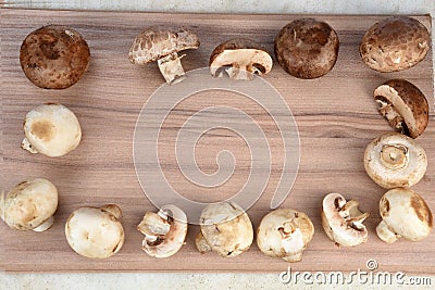 Cosmetive and medicinal mushrooms used in cooking shitak shimed champignons Stock Photo