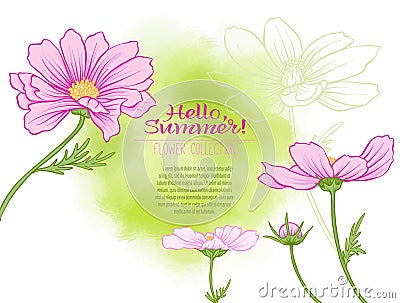 A cosmos flower on a green watercolor background. Vector Illustration