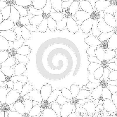 Cosmos Flower Outline Border. Vector Illustration Vector Illustration