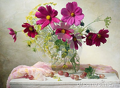 Cosmos flowers Stock Photo