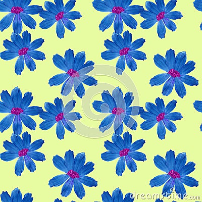 Cosmos. Seamless pattern texture of flowers. Floral background, Stock Photo