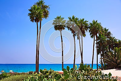 Costa Calma beach of Jandia Fuerteventura Stock Photo