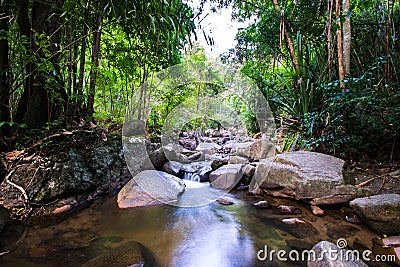 Costa Rica Nature Background Travel Destinations Rio CelesteCosta Rica Nature Background Travel Destinations Rio Celeste Stock Photo