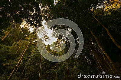 Costa Rica Nature Background Travel Destinations Rio CelesteCosta Rica Nature Background Travel Destinations Rio Celeste Stock Photo