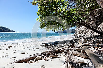 Costa Rican Beach Stock Photo