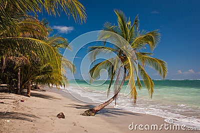 Costarican paradise of Cahuita National Park on East coast Stock Photo