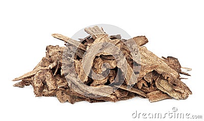 Costus Root Stock Photo