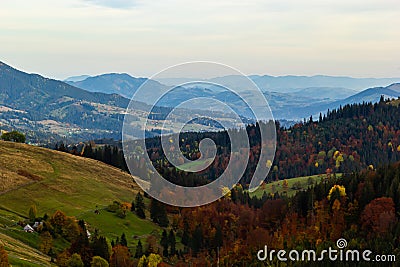 Cosy evening in Carpathians. Summer landscape in mountains. Ukraine, Europe Stock Photo