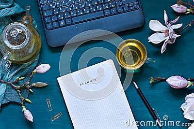 Cosy work space flat lay with magnolia flowers, laptop and green tea, Editorial Stock Photo