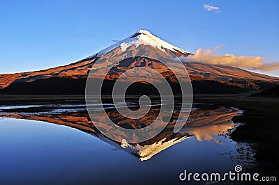 Cotopaxi Volcano Reflected in Limpiopungo Lake Stock Photo