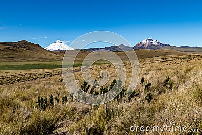 Cotopaxi and Sincholagua volcanoes Stock Photo