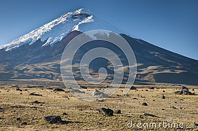 Cotopaxi volcano in ecuador Stock Photo