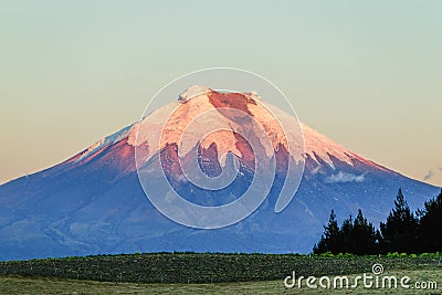 Cotopaxi Volcano Ecuador At Sunset Stock Photo