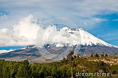 Cotopaxi volcano over the plateau, Andes of Ecuador Stock Photo