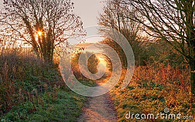 The Cotswold Way, Gloucestershire Stock Photo