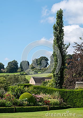 Cotswolds hills, with single Cypress tree on the right, taken near Bourton-on-the-Hill, Gloucestershire in England, UK Stock Photo