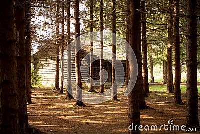 Cottage in forest Stock Photo