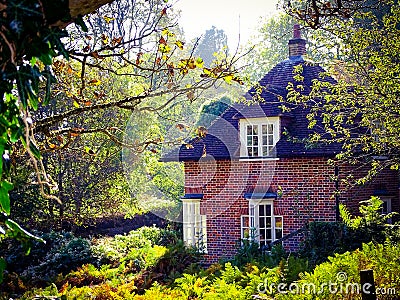 Forest cottage in autumn fantasy Stock Photo