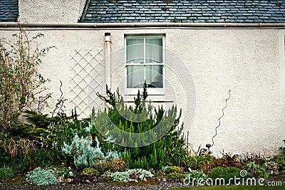 Cottage garden Stock Photo