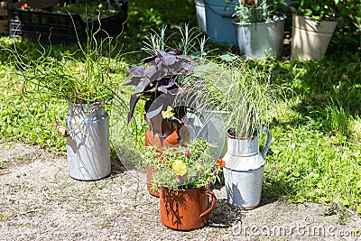 Cottage garden floral decoration with several garden flowers. Stock Photo