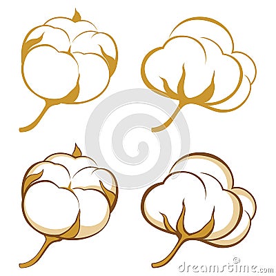 Cotton Vector Illustration