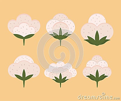 cotton boll organics Vector Illustration