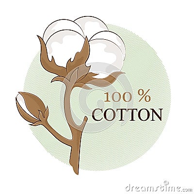Cotton branch. 100% eco. Cotton flower. Botanical art isolated on white background. Use for printing, decoration and other Cartoon Illustration