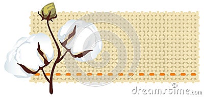 Cotton branch with fabric (Gossypium) Vector Illustration