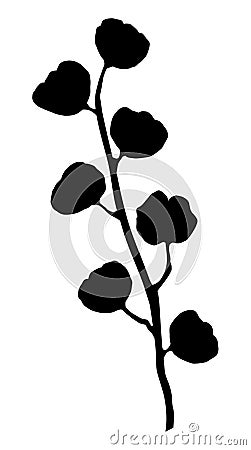 Cotton branche with cotton bolls, plant - Gossypium - flower - black silhouette Vector Illustration