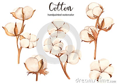 Watercolor set with cotton, cotton buds and branches Stock Photo