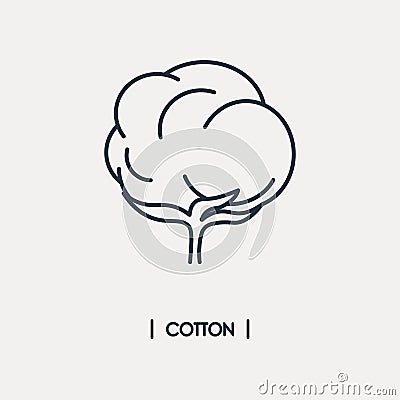 Cotton outline icon Vector Illustration