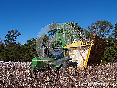 Cotton Picker Dumping Stock Photo