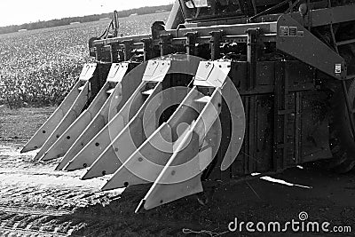 Cotton picker harvests gin black and wight Stock Photo