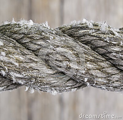 Cotton rope Stock Photo