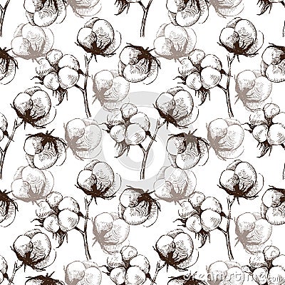 Cotton seamless pattern Vector Illustration