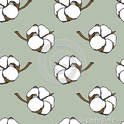 Cotton seamless pattern Vector Illustration