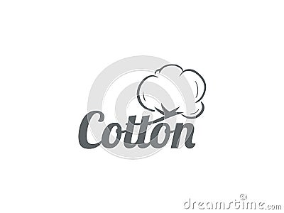 Cotton Vector Illustration