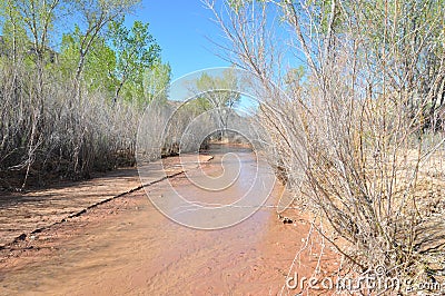 Cottonwood canyon road in utah Stock Photo