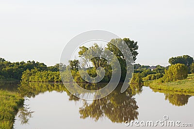 Cottonwood tree reflection on small lake Stock Photo