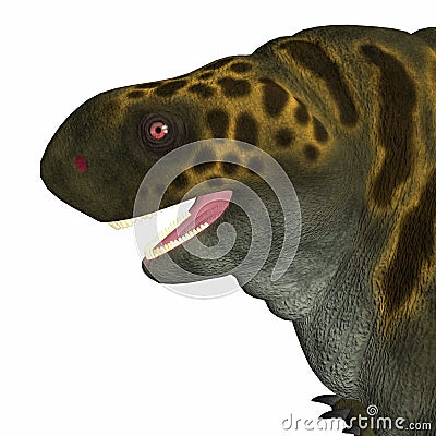 Cotylorhynchus Dinosaur Head Stock Photo