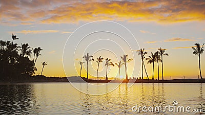 Coucher de soleil sur la plage de paradis avec la grande île Hawaii états-unis de palmiers tropicaux clips vidéos Coucher de soleil sur la plage de paradis avec la grande île Hawaii états-unis de palmiers tropicaux clips vidéos