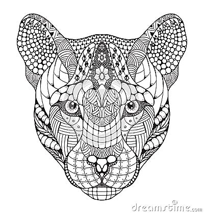 Cougar, mountain lion, puma, panther head zentangle stylized, ve Vector Illustration