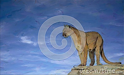 Cougar standing on rock edge,oil painting Stock Photo