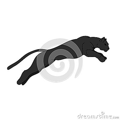 Cougar vector illustartion Vector Illustration