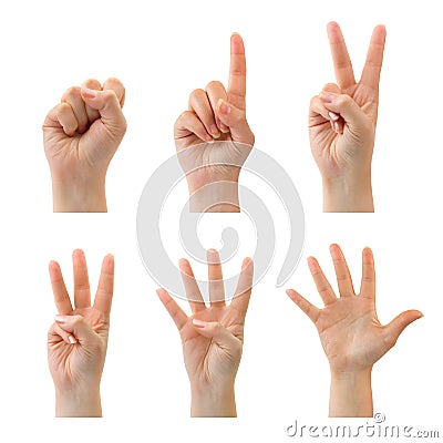 Counting hands (0 to 5) Stock Photo