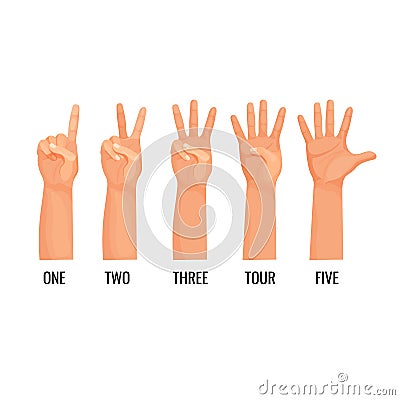 Counting hands show figures, count one, two, three, four, five Vector Illustration